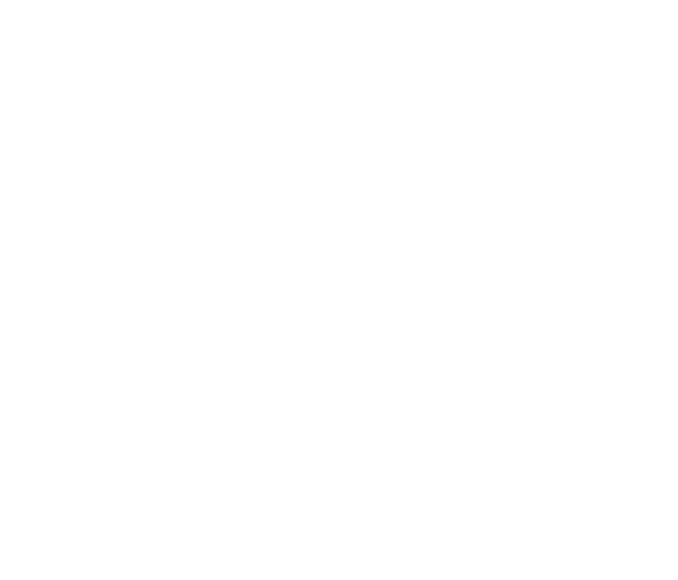 Azarean Network